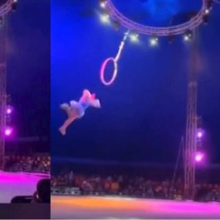 ¡Impactante! Trapecista cae en plena función de circo a cinco metros de altura