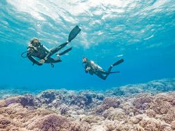 Todo un mundo te espera bajo el agua. ESPECIAL/Tahiti Tourisme