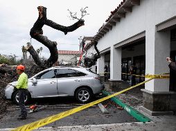 Una serie de nueve tormentas fluviales atmosféricas ha arrojado lluvia y nieve en California desde fines de diciembre. EFE/C. Brehman