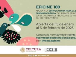 El Eficine cuenta con un monto disponible de 650 millones de pesos anuales para proyectos de producción y 50 millones para proyectos de distribución cinematográfica, distribuidos en los dos periodos del año. CORTESÍA / SC federal