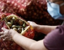 El kilo de cebollas alcanzó los US$11 en Filipinas. ROLEX DELA PENA/EPA-EFE/REX/Shutterstock