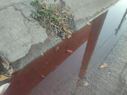 Los habitantes solicitaron la intervención del Ayuntamiento de Guasave ante el temor de ver afectada su salud. ESPECIAL