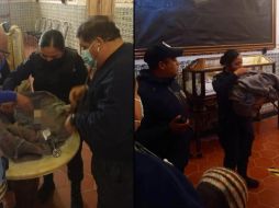 La niña fue llevada al hospital para que la valoraran. SUN