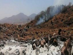 La capacidad para recuperar esa área afectada tardará más de seis años, eso sin que implique estar en su estado original. ESPECIAL / Fiscalía de Jalisco