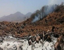 La capacidad para recuperar esa área afectada tardará más de seis años, eso sin que implique estar en su estado original. ESPECIAL / Fiscalía de Jalisco
