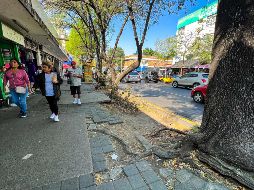 La primera etapa de intervención de Javier Mina comprende 1.2 kilómetros de distancia, de Belisario Domínguez a Calzada Independencia. EL INFORMADOR