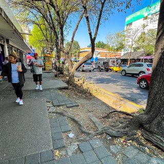 Esto es todo lo que sabemos de la obra en Javier Mina que inicia mañana