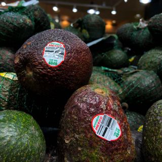 El aguacate, el mexicano que conquista Estados Unidos cada año