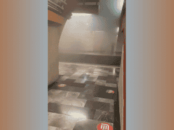 En videos se observan los andenes del Metro llenos de humo, pero ya vacíos tras el desalojo. ESPECIAL