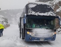 Hay tráileres, autobuses y varios vehículos varados. SUN