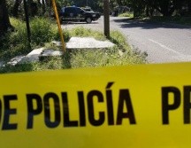 La víctima realizaba trabajos de jardinería en un árbol y accidentalmente tocó cables de mediana tensión. EL INFORMADOR/ARCHIVO