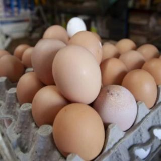 Ante aumento en precio del huevo, estadounidenses compran en México