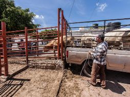 México tuvo en 2021 un crecimiento anual del 4.8 % apoyado por el crecimiento del sector industrial, el de servicios y el agrícola. EL INFORMADOR/ARCHIVO