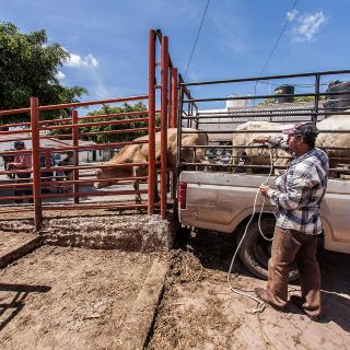 Actividad económica de México crece 3.3 % en noviembre: Inegi