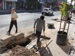 La apertura de Enrique Díaz de León dio un respiro al tráfico vehicular en la zona. Las obras siguen con la rehabilitación de las banquetas y la colocación de árboles. EL INFORMADOR/A. Camacho