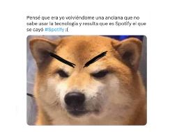 Muy molestos por las fallas en Spotify, los tuiteros han comenzado a quejarse de maneras muy creativas, mediante memes divertidos. TWITTER