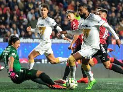 Los Xolos tienen 12 juegos sin disfrutar de una victoria. AFP/G. Arias