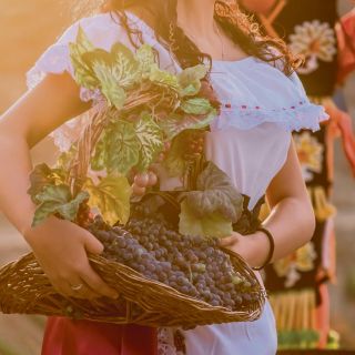 Parras, cuna del buen vino mexicano