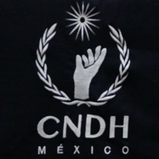 Renuncian integrantes del Consejo Consultivo de la CNDH