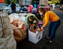 Diputados cuestionaron la poca efectividad de los programas actuales de reciclaje en Jalisco. EL INFORMADOR/ARCHIVO