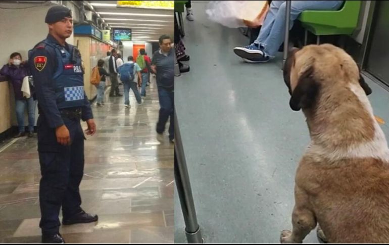 Usuarios de TikTok no tardaron en bromear sobre la 