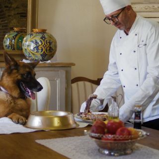 Hoy se estrena “Gunther, el perro millonario” en Netflix