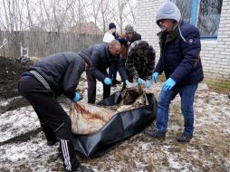 Cuerpos de emergencia encontraron dos cuerpos. AFP