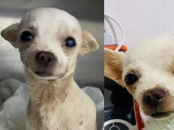 Pinky fue una sensación en redes sociales. Facebook.