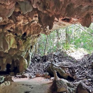 Analizan convertir en Áreas Naturales Protegidas todos los terrenos de la Fonatur