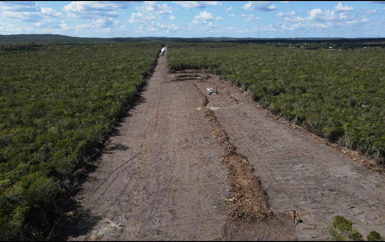 Panorama reciente de la selva de Calakmul, una de las más importantes de México. AP/ M. Ugalde