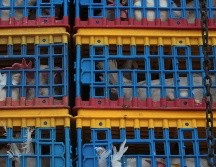 La ASICA invitó a productoras y productores de Jalisco a agendar sus citas para solicitar vacunas vía telefónica o por correo electrónico. EL INFORMADOR/ARCHIVO