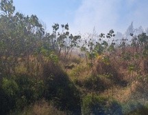 Al interior de un baldío de la colonia Parques del Palmar se generó un incendio de basura y maleza, en el lugar contiguo se localizó una casa improvisada, la cual no fue alcanzada por el fuego. ESPECIAL /PC Tlaquepaque