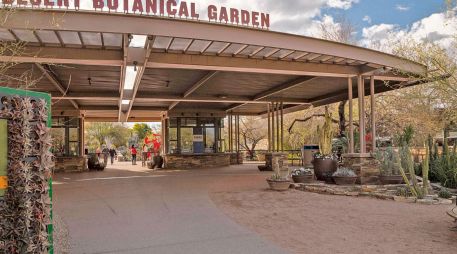Jardín botánico del desierto, un lugar obligado en la visita a Phoenix. ESPECIAL