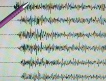 En Canadá el temblor tuvo una magnitud de 4.2 y se sintió levemente en el sur de Ontario. EFE/ARCHIVO