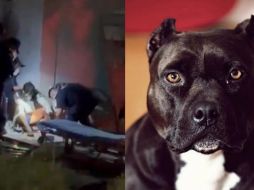 El hombre sufrió varias mordeduras y lesiones. SUN