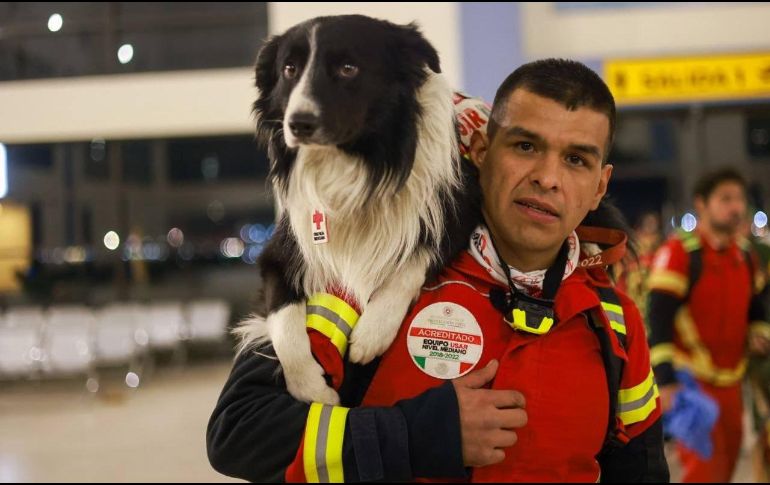 De México para el mundo, estos héroes de cuatro patas se suman a los trabajos de rescate en Turquía junto a sus entrenadores. TWITTER/@m_ebrard