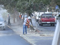 La rehabilitación de Zapopan al 100 inició en la colonia La Tuzanía. ESPECIAL