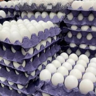 Estadounidenses cruzan a México a comprar huevo por su alto precio