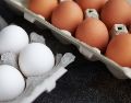 El aumento de precio del huevo se debe a la gripe aviar en Estados Unidos. ESPECIAL