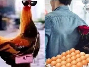 En redes sociales comienzan a circular memes sobre el aumento en el precio del huevo. ESPECIAL