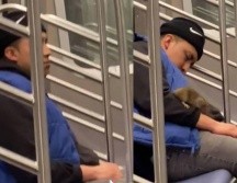 El video en TikTok ha logrado más de 20 millones de visualizaciones. ESPECIAL/CAPTURA DE VIDEO