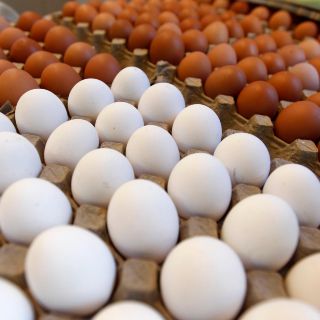 ¿Cuál huevo es mejor, el rojo o el blanco?