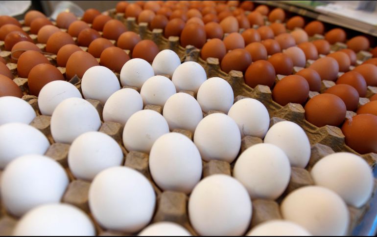 Existen tipos de huevo, que han despertado -desde hace mucho tiempo- el debate sobre cuál es mejor para el consumo: el de cascarón blanco o el rojo.  EL INFORMADOR / ARCHIVO