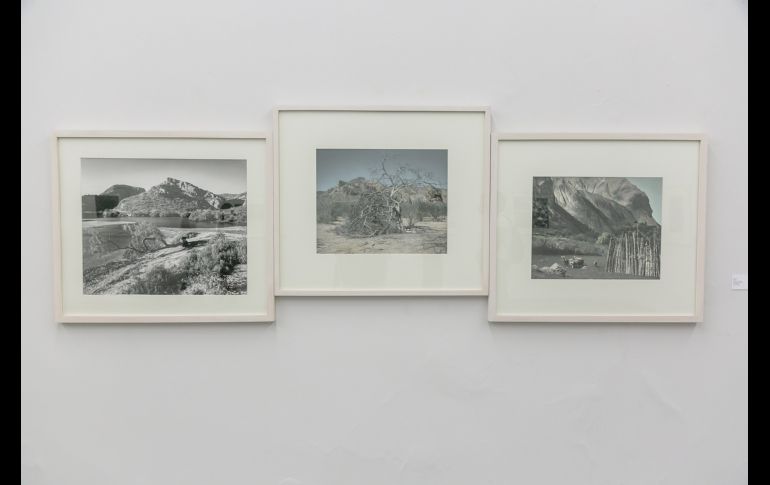 Aspecto. GENTE BIEN JALISCO/Jorge Soltero