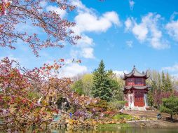 El encanto europeo, restaurantes con un ambiente íntimo y las hermosas calles históricas cubiertas de nieve se suman a la reputación romántica de Québec. CORTESÍA