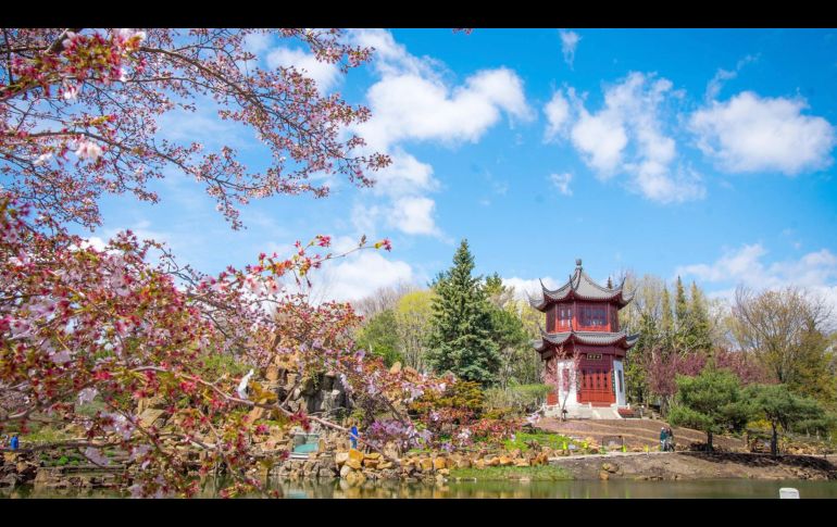 El encanto europeo, restaurantes con un ambiente íntimo y las hermosas calles históricas cubiertas de nieve se suman a la reputación romántica de Québec. CORTESÍA