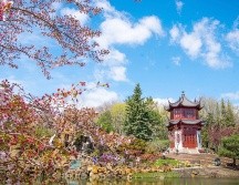 El encanto europeo, restaurantes con un ambiente íntimo y las hermosas calles históricas cubiertas de nieve se suman a la reputación romántica de Québec. CORTESÍA