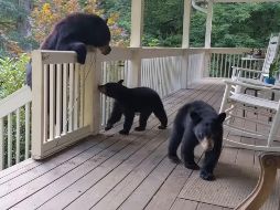 YOUTUBE/Patrick Conley