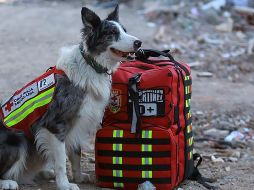 Una delegación mexicana participa en las labores de búsqueda y ayuda tras el terremoto del lunes pasado en Turquía. AFP / ESPECIAL