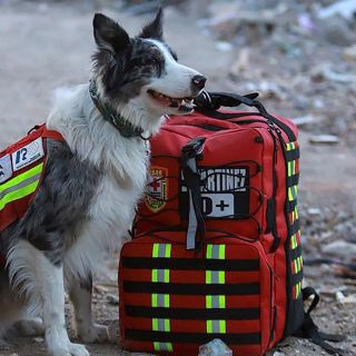 Delegación mexicana ha recuperado 11 cuerpos tras terremoto en Turquía